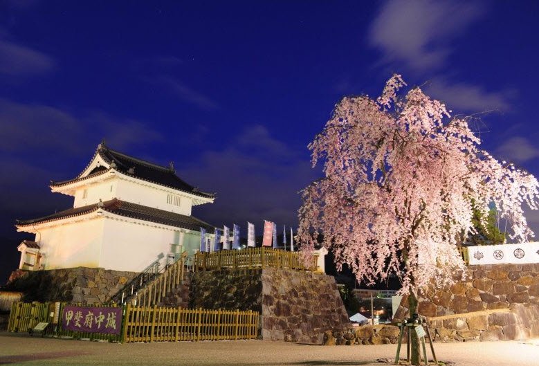 Kōfu Castle Ruins, Japan